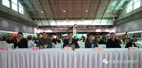 2019上海休閑農業推介簽約活動在滬成功舉辦，安徽名優農產品閃耀申城